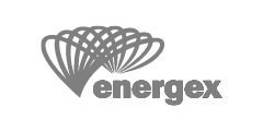 Energex Logo: Grayscale